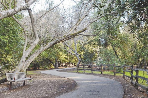 Hiding trail at Twin Pines Park in Belmont, California